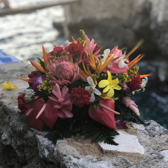 Meet your Posher, Danielle - Picture 1 of 1